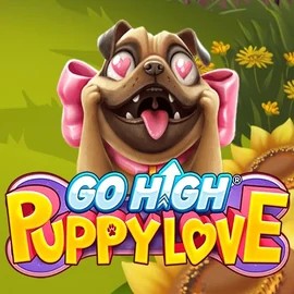 Go High Puppy Love online game logo by RubyPlay on betissta.com